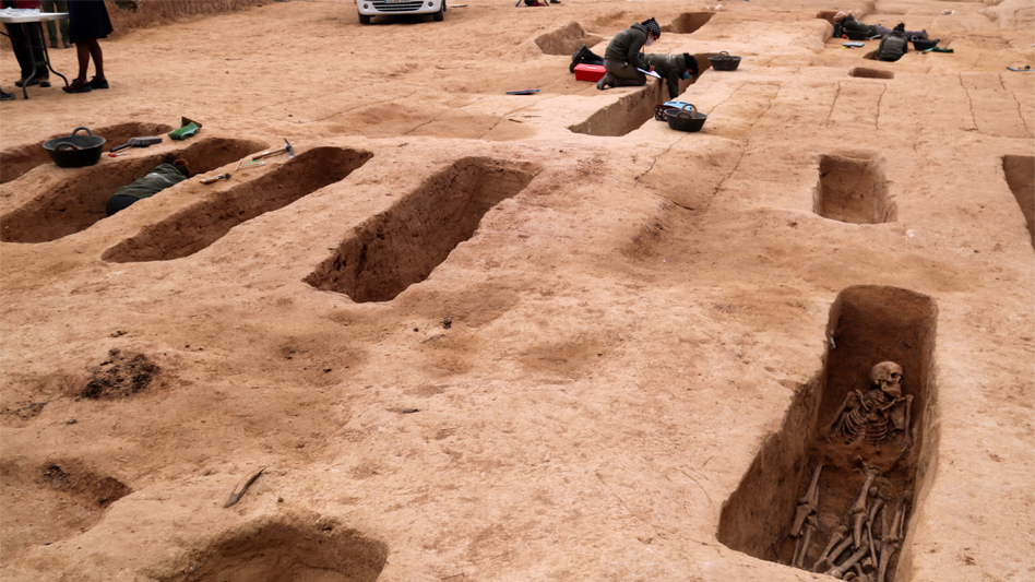 Les excavacions a la fossa del Mas de Santa Magdalena de Móra d’Ebre han permès recuperar 54 individus