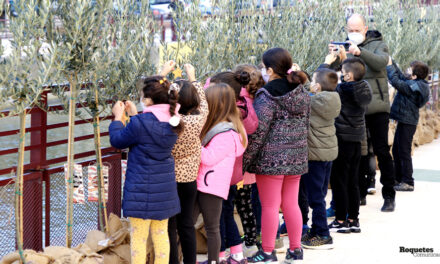 Els alumnes dels centres escolars de Roquetes guarneixen 220 oliveres nadalenques que es repartiran pels establiments del municipi