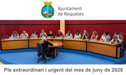 Ple extraordinari i urgent núm. 6/2025, celebrat el 5 de juny de 2025