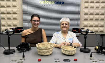 Treball de recerca ‘La Cistelleria amb Margalló’, l’artesania de llatar la pauma.