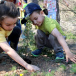 Roquetes ajuda en la recuperació de la zona cremada per l’incendi a Xerta