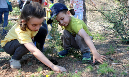 Roquetes ajuda en la recuperació de la zona cremada per l’incendi a Xerta