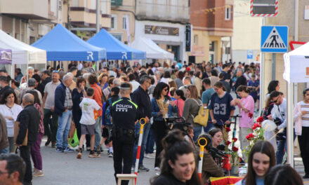 Un Sant Jordi fabulós a Roquetes