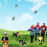 A fer Punyetes – Programa 38 – Ebre Agility